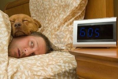 Спать с собакой опасно для здоровья